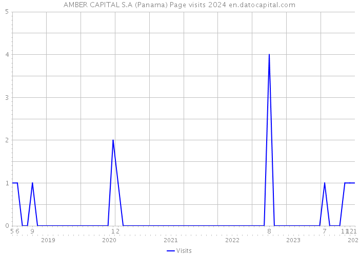 AMBER CAPITAL S.A (Panama) Page visits 2024 