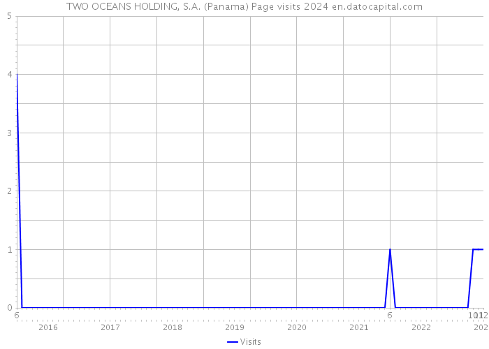 TWO OCEANS HOLDING, S.A. (Panama) Page visits 2024 