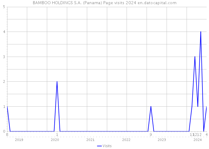 BAMBOO HOLDINGS S.A. (Panama) Page visits 2024 