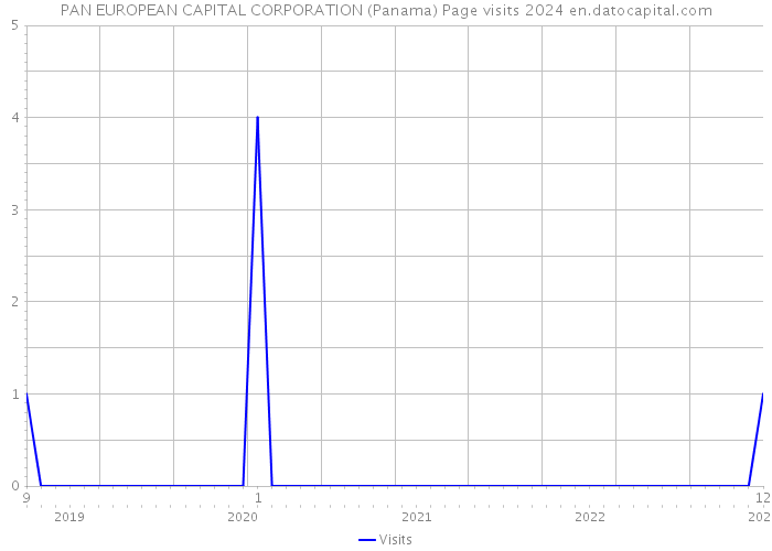 PAN EUROPEAN CAPITAL CORPORATION (Panama) Page visits 2024 