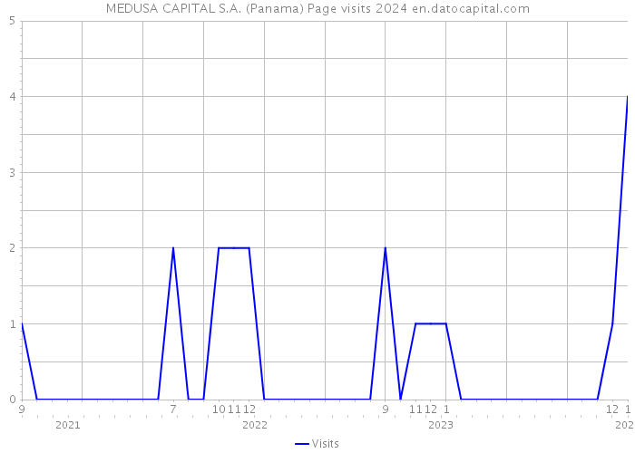 MEDUSA CAPITAL S.A. (Panama) Page visits 2024 