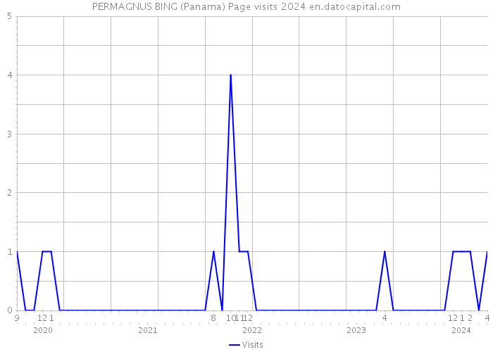PERMAGNUS BING (Panama) Page visits 2024 