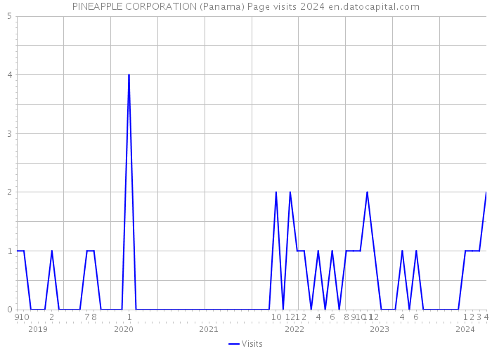 PINEAPPLE CORPORATION (Panama) Page visits 2024 