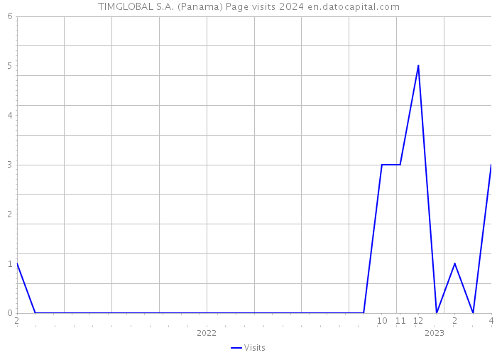 TIMGLOBAL S.A. (Panama) Page visits 2024 