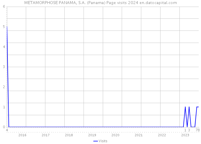 METAMORPHOSE PANAMA, S.A. (Panama) Page visits 2024 