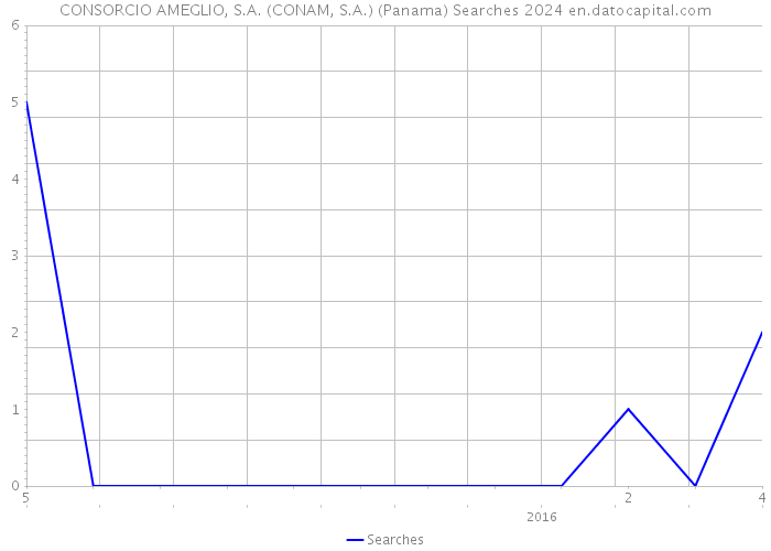 CONSORCIO AMEGLIO, S.A. (CONAM, S.A.) (Panama) Searches 2024 