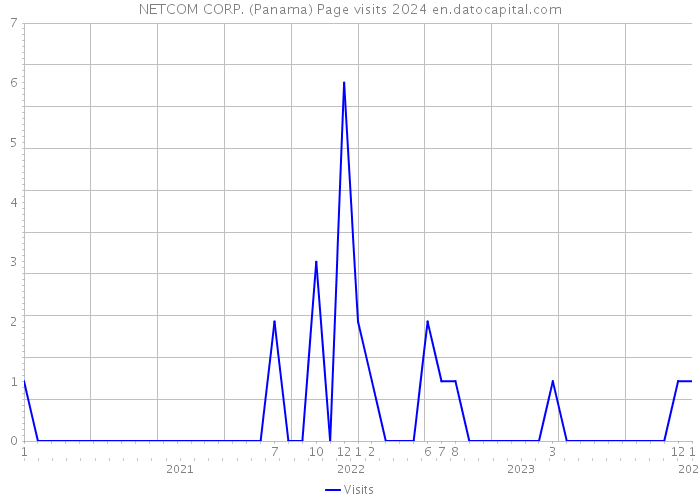 NETCOM CORP. (Panama) Page visits 2024 