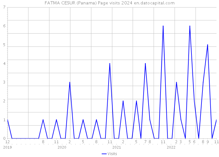 FATMA CESUR (Panama) Page visits 2024 