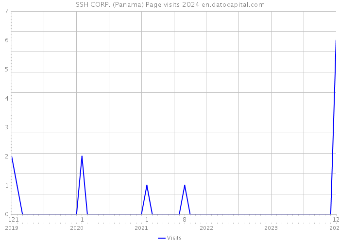 SSH CORP. (Panama) Page visits 2024 