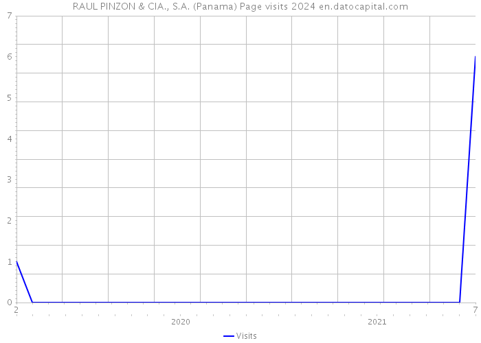 RAUL PINZON & CIA., S.A. (Panama) Page visits 2024 