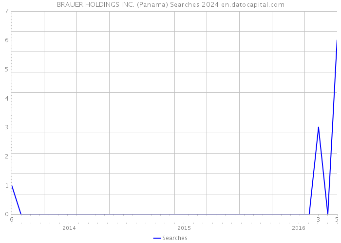 BRAUER HOLDINGS INC. (Panama) Searches 2024 