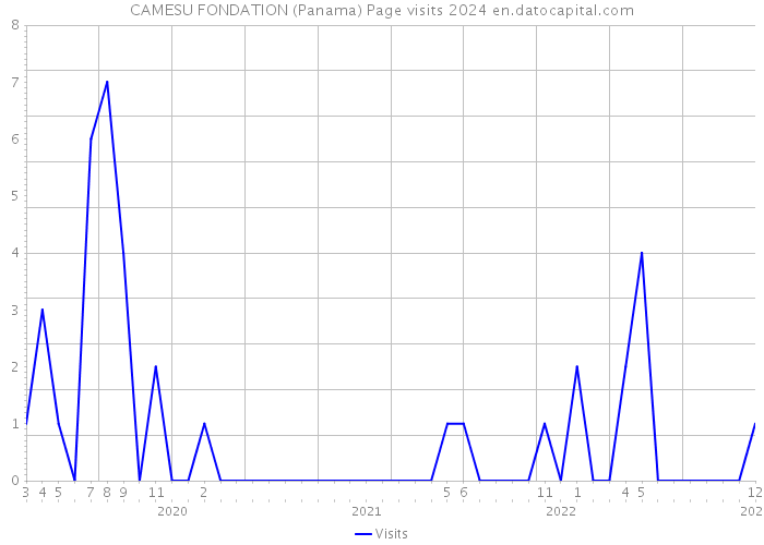CAMESU FONDATION (Panama) Page visits 2024 