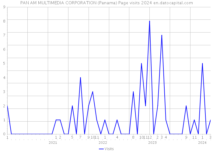 PAN AM MULTIMEDIA CORPORATION (Panama) Page visits 2024 