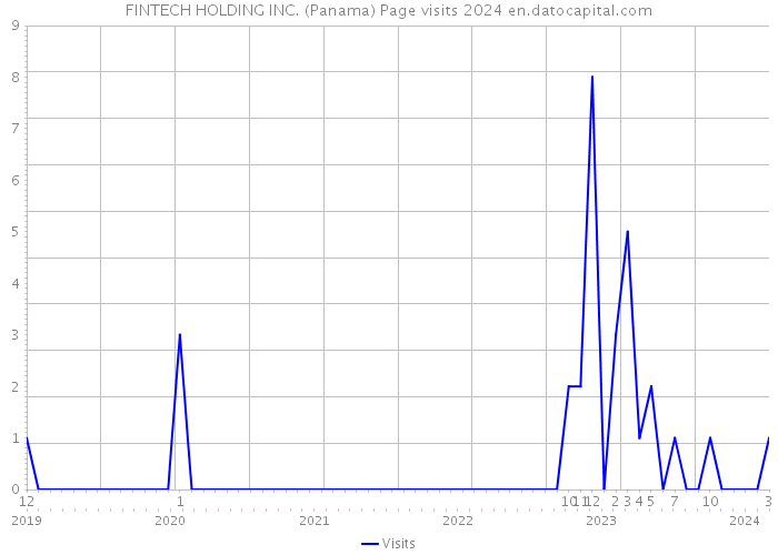 FINTECH HOLDING INC. (Panama) Page visits 2024 