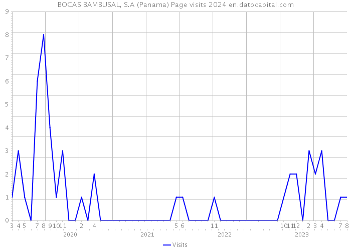 BOCAS BAMBUSAL, S.A (Panama) Page visits 2024 