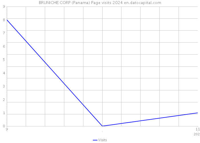 BRUNICHE CORP (Panama) Page visits 2024 