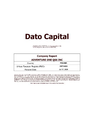 Company report cover (page 1)